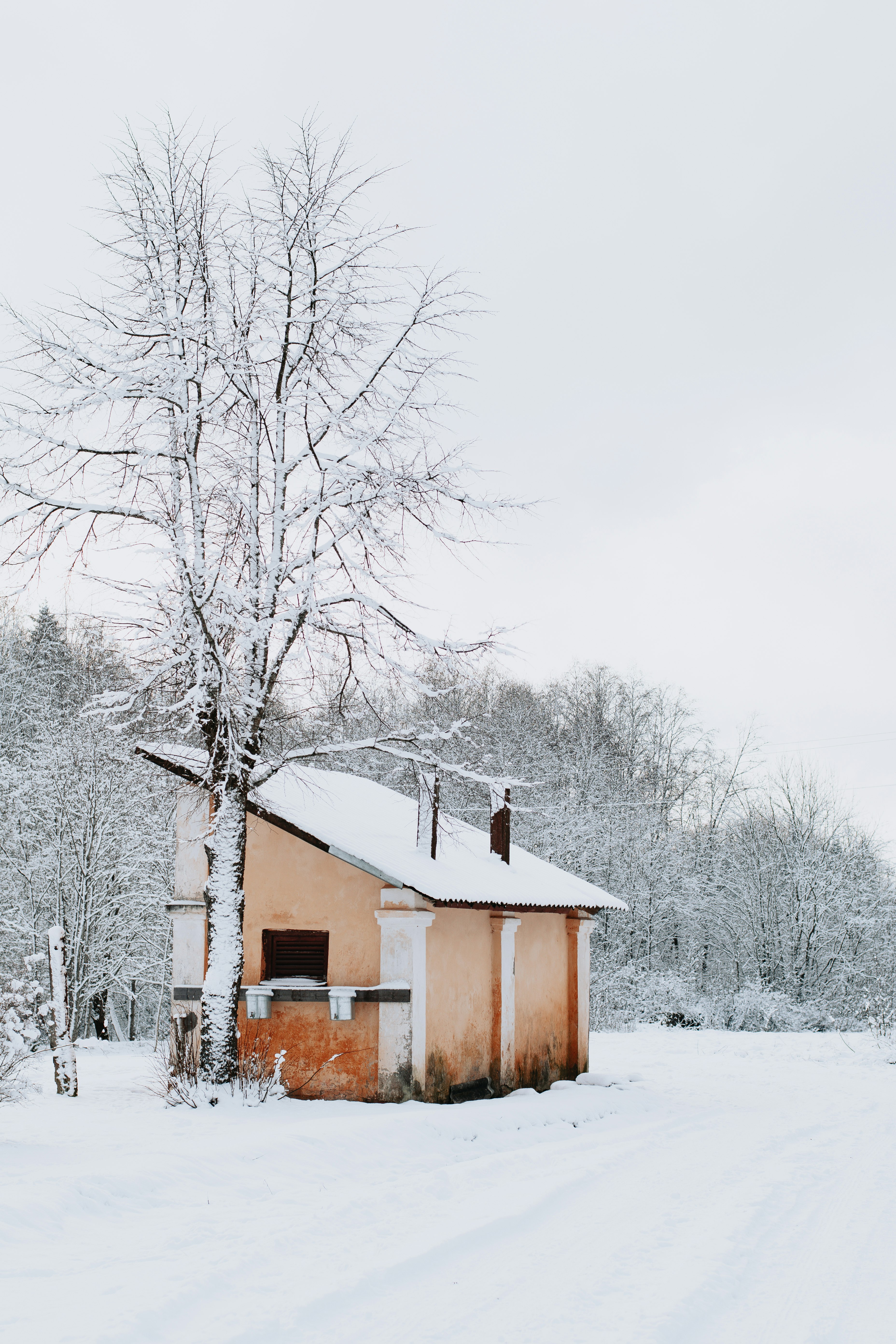 brown wooden house surrounded by snow covered trees during daytime